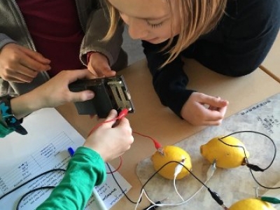 Elektriciteit uit aardappelen?